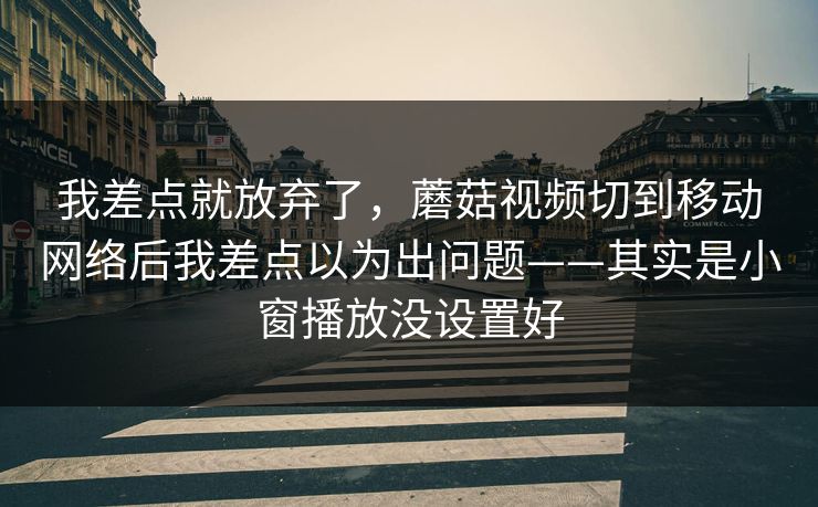 我差点就放弃了，蘑菇视频切到移动网络后我差点以为出问题——其实是小窗播放没设置好